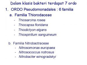 Dalam klasis bakteri terdapat 7 ordo 1 ORDO