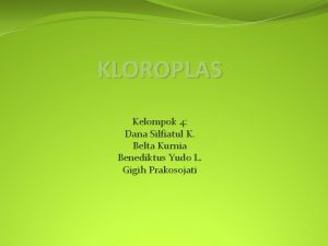 KLOROPLAS Kelompok 4 Dana Silfiatul K Belta Kurnia