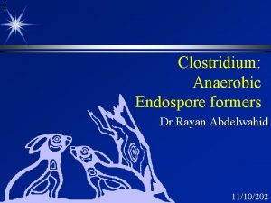 1 Clostridium Anaerobic Endospore formers Dr Rayan Abdelwahid