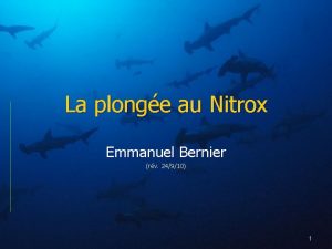 La plonge au Nitrox Emmanuel Bernier rv 24910