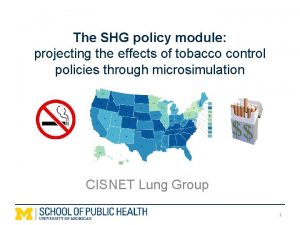 The SHG policy module projecting the effects of