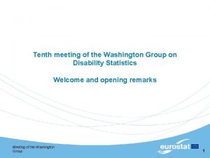 Tenth meeting of the Washington Group on Disability