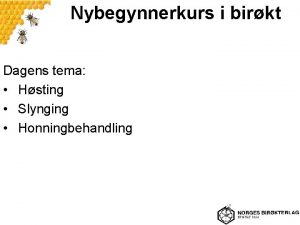 Nybegynnerkurs i birkt Dagens tema Hsting Slynging Honningbehandling