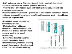 DNA replikace a oprava DNA jsou zkladnmi kroky