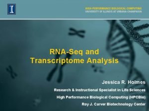 RNASeq and Transcriptome Analysis Jessica R Holmes Research