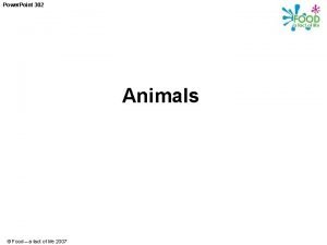 Power Point 302 Animals Food a fact of