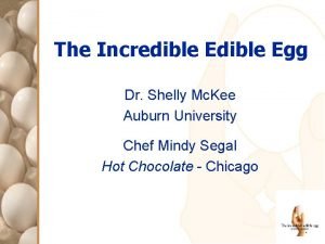 The Incredible Egg Dr Shelly Mc Kee Auburn