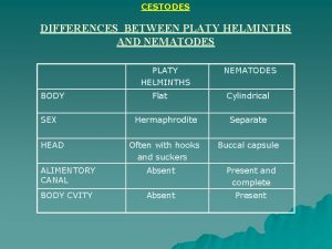 Difference between nematodes and cestodes