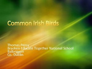 Common irish birds