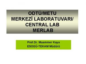 Merkez lab