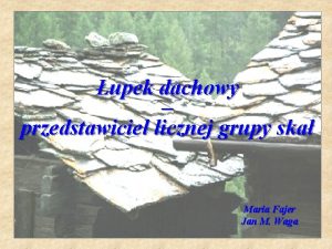 łupek mułowcowy