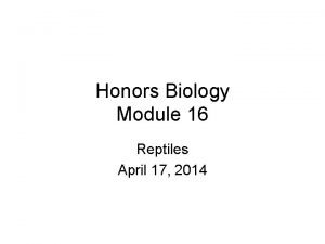 Honors Biology Module 16 Reptiles April 17 2014