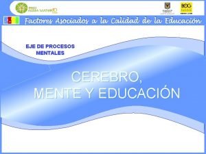 EJE DE PROCESOS MENTALES CEREBRO MENTE Y EDUCACIN