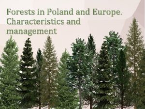 Forests in Poland Europe Characteristics and management The