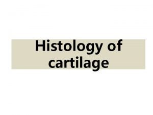 Fibrocartilage histology