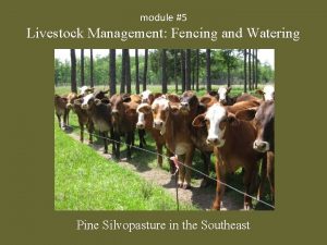 module 5 Livestock Management Fencing and Watering Pine