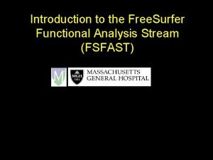 Introduction to the Free Surfer Functional Analysis Stream