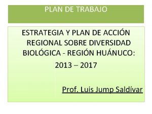 PLAN DE TRABAJO ESTRATEGIA Y PLAN DE ACCIN