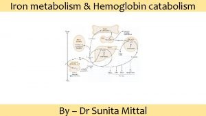 Iron metabolism Hemoglobin catabolism By Dr Sunita Mittal