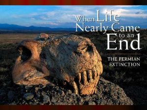 The Terminal Permian Extinction l Greatest mass extinction