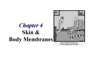Chapter 4 skin and body membranes answer key