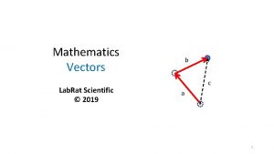 Mathematics Vectors Lab Rat Scientific 2019 b c