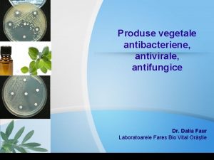 Produse vegetale antibacteriene antivirale antifungice Dr Dalia Faur