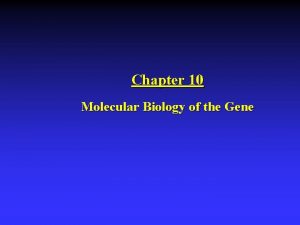 Chapter 10 molecular biology of the gene