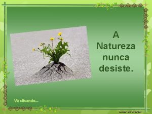 A Natureza nunca desiste V clicando A persistncia