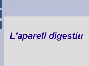 Laparell digestiu Les funcions digestives Les funcions digestives