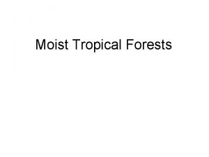 Moist Tropical Forests Distribution of rain forests Actually