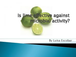 Is lime effective against microbial activity By Luisa