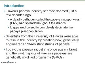 Introduction Hawaiis papaya industry seemed doomed just a