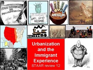 Urbanization and the Immigrant Experience STAAR review 12
