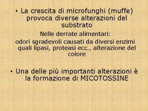 La crescita di microfunghi muffe provoca diverse alterazioni