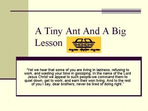 A Tiny Ant And A Big Lesson Yet