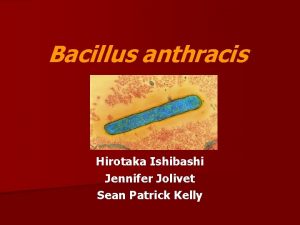 Bacillus anthracis Hirotaka Ishibashi Jennifer Jolivet Sean Patrick