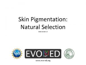 Skin Pigmentation Natural Selection slide version 1 0