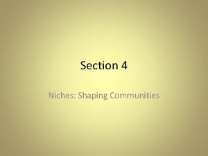 Section 4 Niches Shaping Communities What Youve Learned