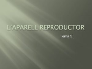 LAPARELL REPRODUCTOR Tema 5 1 La reproducci humana