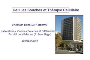 Cellules Souches et Thrapie Cellulaire Christian Dani DR