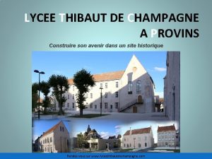 Thibaut de champagne provins