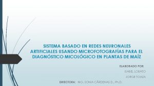 SISTEMA BASADO EN REDES NEURONALES ARTIFICIALES USANDO MICROFOTOGRAFAS