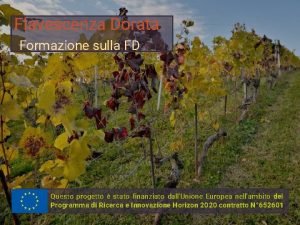 Flavescenza Dorata Formazione sulla FD Questo progetto stato