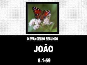 1 Jesus entretanto foi para o monte das