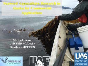 Seaweed Aquaculture Research in Alaska for Commercial Applications