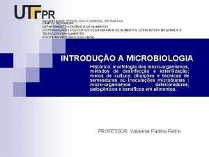 Tipos de microrganismos