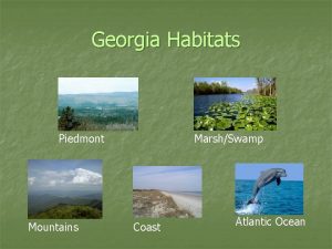 Georgia Habitats Piedmont Mountains MarshSwamp Coast Atlantic Ocean