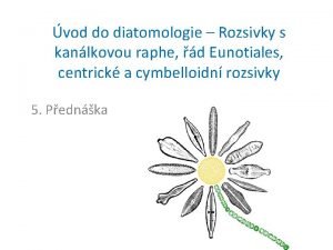 vod do diatomologie Rozsivky s kanlkovou raphe d