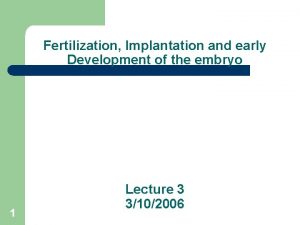 Fertilization Implantation and early Development of the embryo